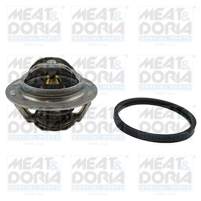 Thermostat, coolant